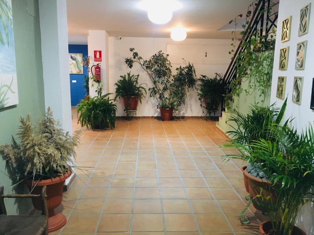 Apartmán Manilva Playa Exteriér fotografie