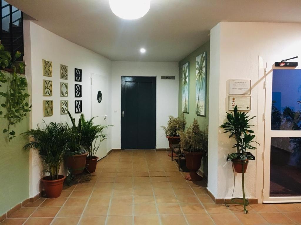 Apartmán Manilva Playa Exteriér fotografie